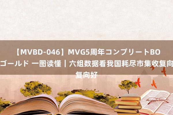 【MVBD-046】MVG5周年コンプリートBOX ゴールド 一图读懂｜六组数据看我国耗尽市集收复向好