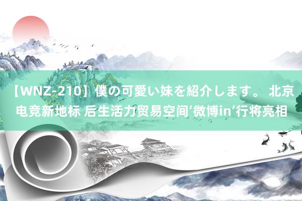 【WNZ-210】僕の可愛い妹を紹介します。 北京电竞新地标 后生活力贸易空间‘微博in’行将亮相