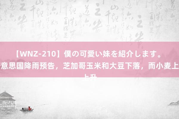 【WNZ-210】僕の可愛い妹を紹介します。 好意思国降雨预告，芝加哥玉米和大豆下落，而小麦上升