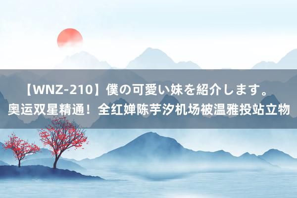 【WNZ-210】僕の可愛い妹を紹介します。 奥运双星精通！全红婵陈芋汐机场被温雅投站立物