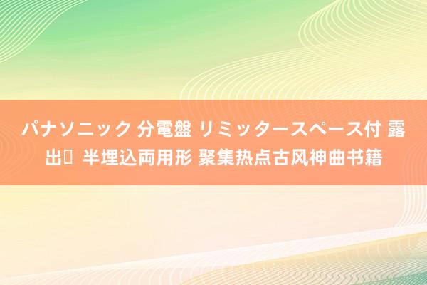 パナソニック 分電盤 リミッタースペース付 露出・半埋込両用形 聚集热点古风神曲书籍